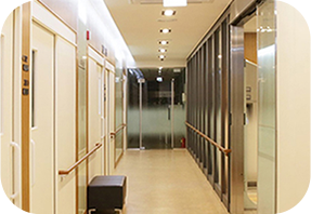 �������� ���� ����