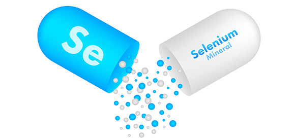 ¿µ¾ç ¼ö¾× Ä¡·á