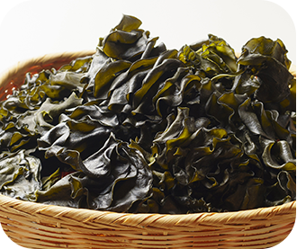 ���� ���� ġ��